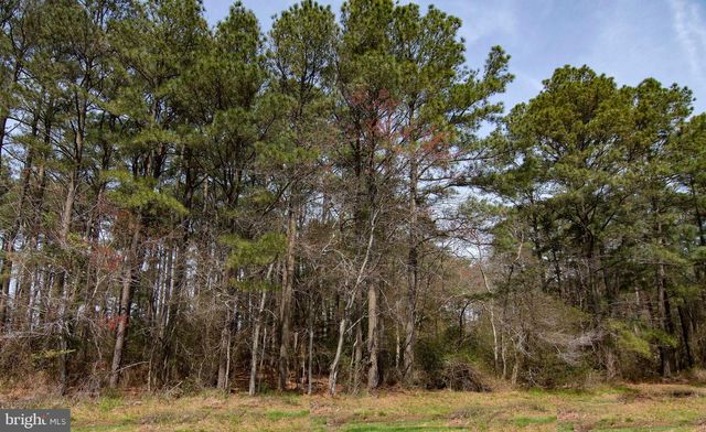 LOT 862 BROADSIDE DRIVE, Greenbackville, VA 23356