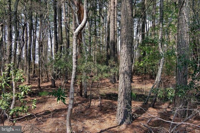 LOT 862 BROADSIDE DRIVE, Greenbackville, VA 23356