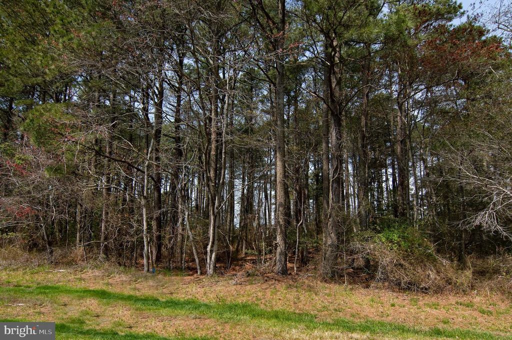 Lot 862 BROADSIDE DRIVE, Greenbackville, VA 23356