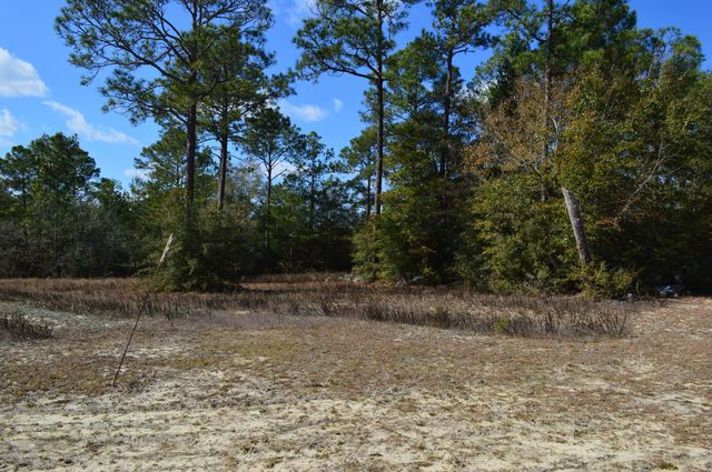 646 Millard Gainey Road, Defuniak Springs, FL 32435