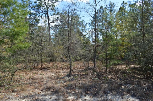 646 Millard Gainey Road, Defuniak Springs, FL 32435