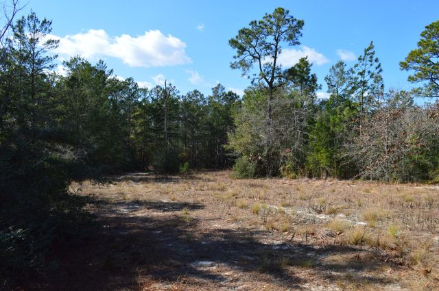 646 Millard Gainey Road, Defuniak Springs, FL 32435