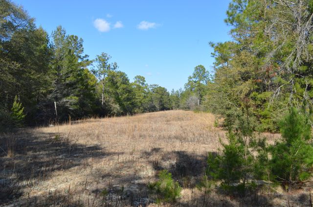 646 Millard Gainey Road, Defuniak Springs, FL 32435