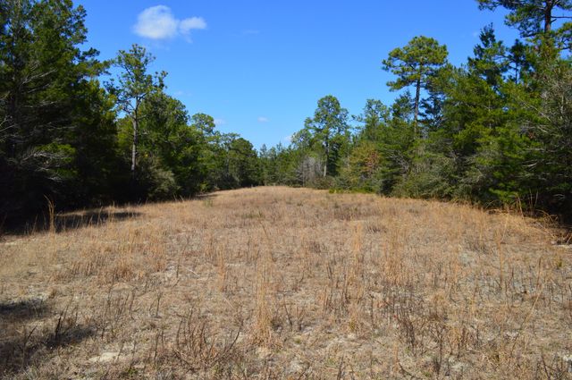 646 Millard Gainey Road, Defuniak Springs, FL 32435