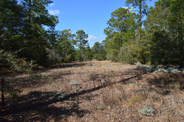 646 Millard Gainey Road, Defuniak Springs, FL 32435