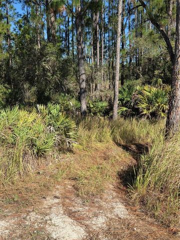 1351 R E BYRD RD, Frostproof, FL 33843