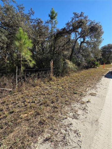 1351 R E BYRD RD, Frostproof, FL 33843