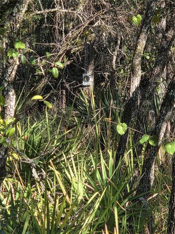 1351 R E BYRD RD, Frostproof, FL 33843