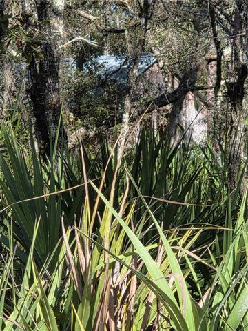 1351 R E BYRD RD, Frostproof, FL 33843