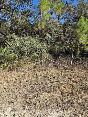 1351 R E BYRD RD, Frostproof, FL 33843