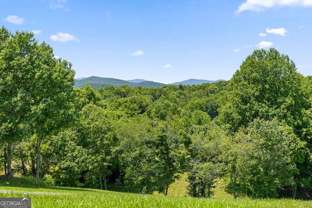 171 Big Valley Drive 75, Morganton, GA 30560