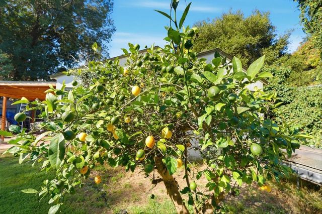 1908 Cooley Avenue, East Palo Alto, CA 94303