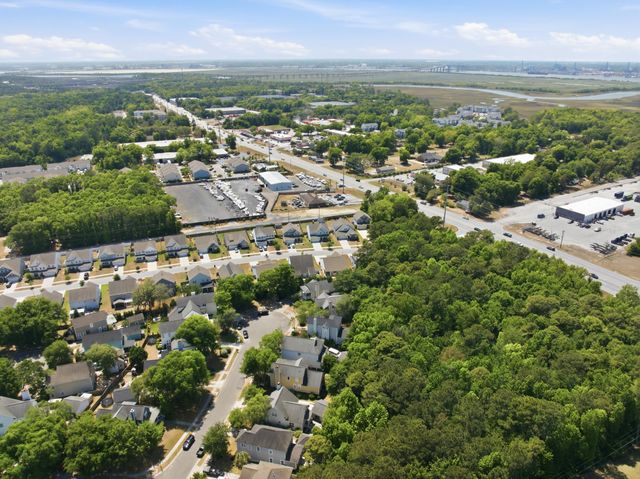 110 Franklin Retreat Court, Charleston, SC 29492