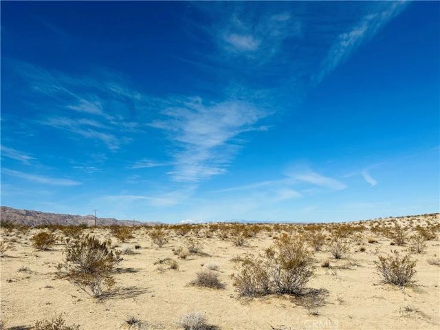 2 Joshua, 29 Palms, CA 92277