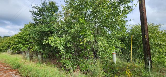 TBD Homonu (Lot 105) CT, Bastrop, TX 78602