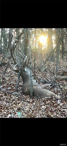 150 Keysville Rd, Steelville, MO 65565