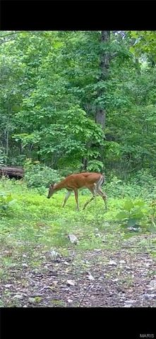 150 Keysville Rd, Steelville, MO 65565