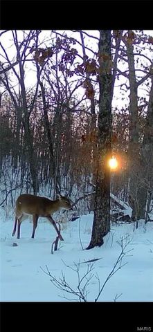 150 Keysville Rd, Steelville, MO 65565