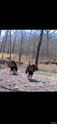 150 Keysville Rd, Steelville, MO 65565