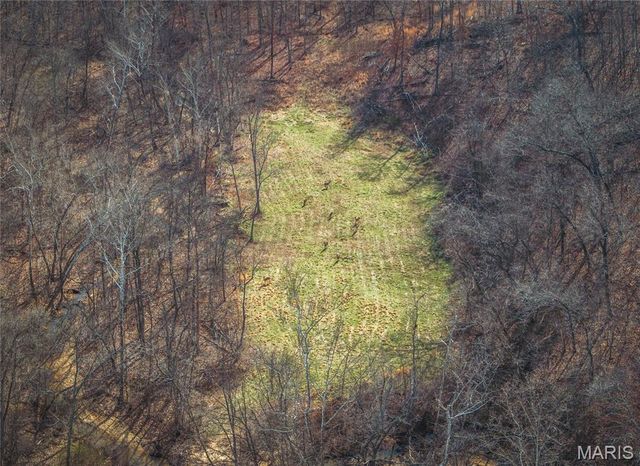 150 Keysville Rd, Steelville, MO 65565