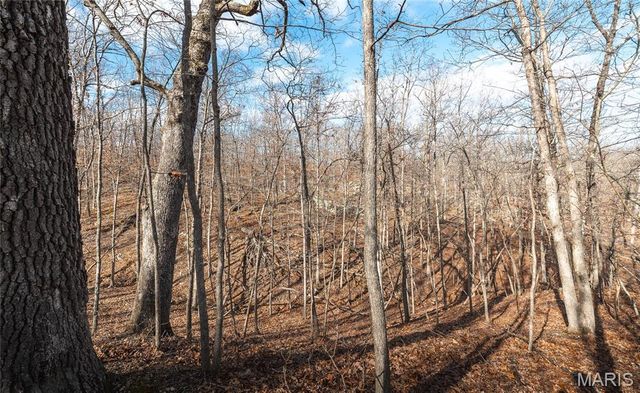 150 Keysville Rd, Steelville, MO 65565