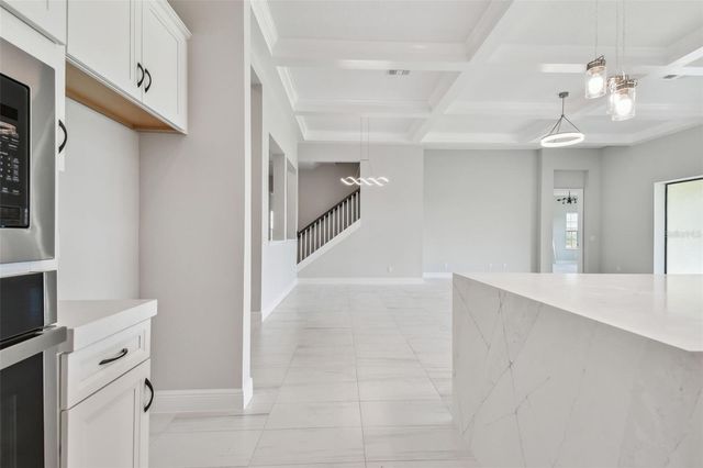 11239 RUSTIC TIMBER LOOP, San Antonio, FL 33576