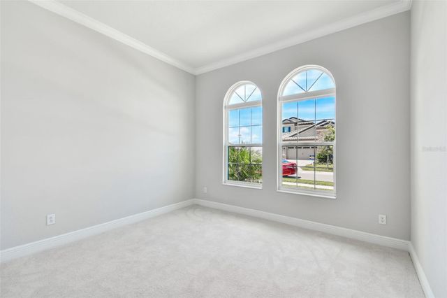 11239 RUSTIC TIMBER LOOP, San Antonio, FL 33576