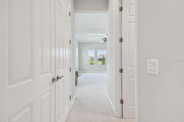 11239 RUSTIC TIMBER LOOP, San Antonio, FL 33576