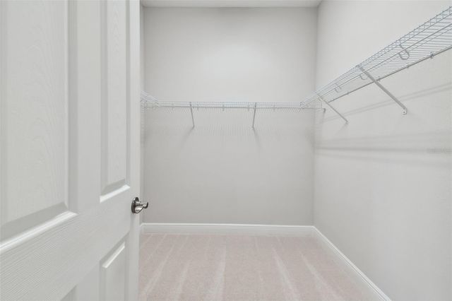 11239 RUSTIC TIMBER LOOP, San Antonio, FL 33576