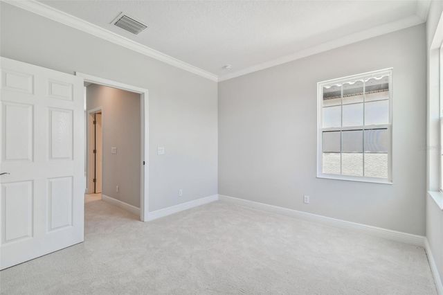 11239 RUSTIC TIMBER LOOP, San Antonio, FL 33576