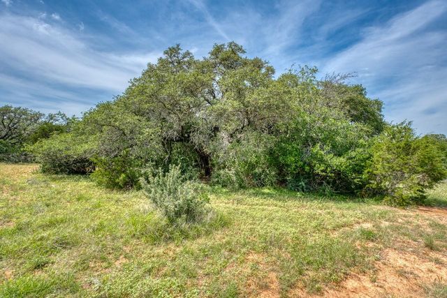 TBD Althaus Ranch Road, Johnson City, TX 78636
