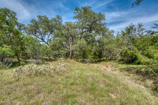 TBD Althaus Ranch Road, Johnson City, TX 78636