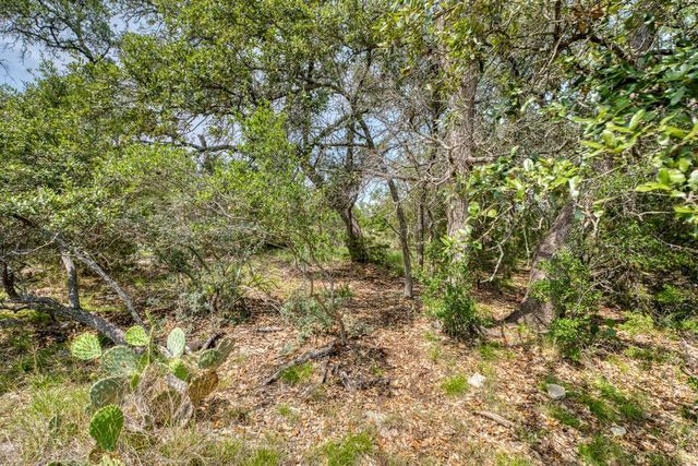 TBD Althaus Ranch Road, Johnson City, TX 78636