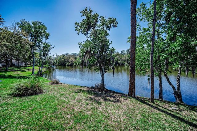 1418 WOODSTREAM DRIVE, Oldsmar, FL 34677