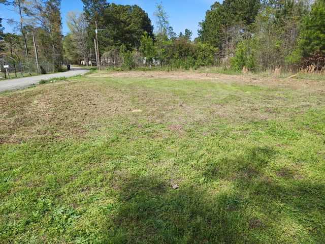 123 Harriet Tubman Lane, Moncks Corner, SC 29461