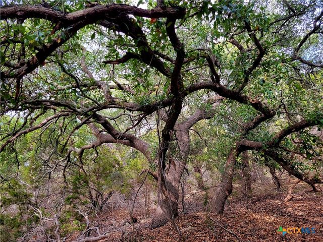 2066 Stallion Springs Drive, Fischer, TX 78623