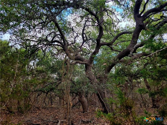 2066 Stallion Springs Drive, Fischer, TX 78623