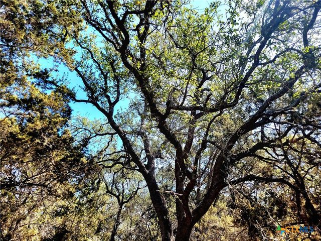 2066 Stallion Springs Drive, Fischer, TX 78623