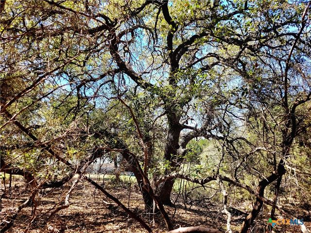 2066 Stallion Springs Drive, Fischer, TX 78623