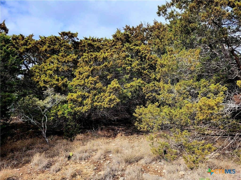 2066 Stallion Springs Drive, Fischer, TX 78623