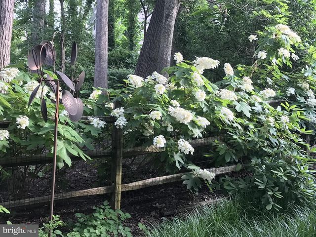 3402 CHARLESON ST, Annandale, VA 22003