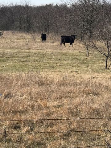 TBD 14 Acres Winn Road, Collinsville, TX 76233