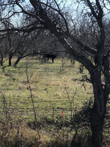 TBD 14 Acres Winn Road, Collinsville, TX 76233