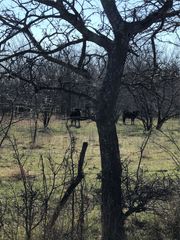TBD 14 Acres Winn Road, Collinsville, TX 76233