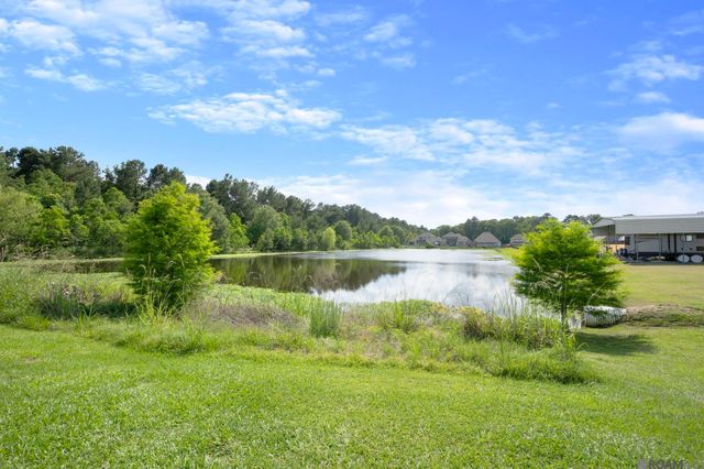 36987 Oak View Ln, Denham Springs, LA 70706