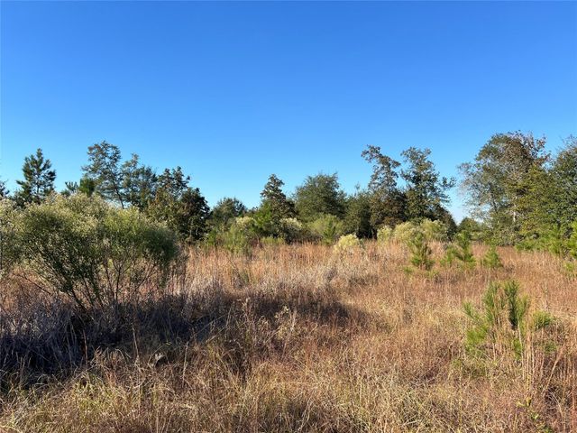 3711 Felix Currie Road, Point Blank, TX 77364