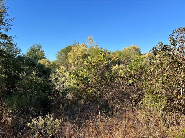 3711 Felix Currie Road, Point Blank, TX 77364
