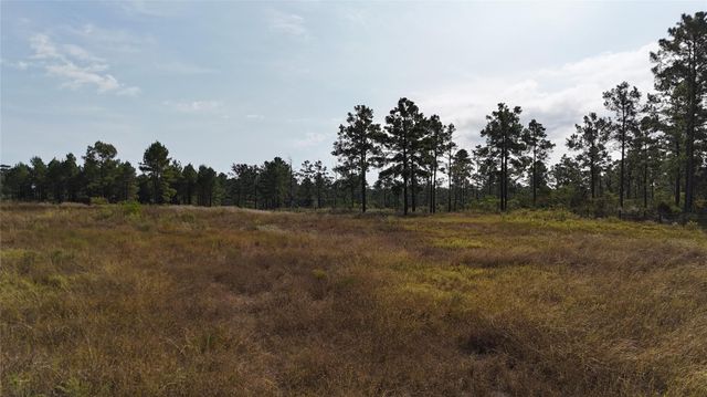 3711 Felix Currie Road, Point Blank, TX 77364