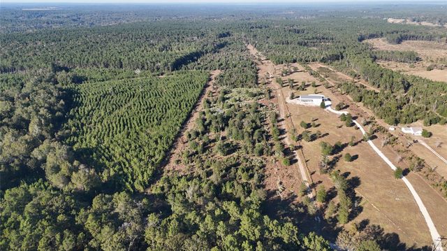 3711 Felix Currie Road, Point Blank, TX 77364