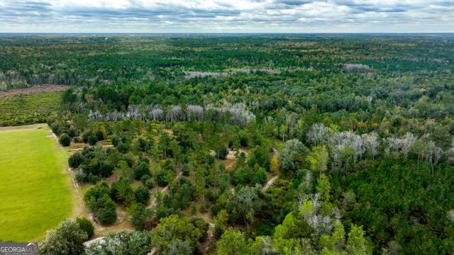 0 Hendrix Bridge Road, Claxton, GA 30417